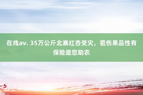 在线av. 35万公斤北寨红杏受灾，雹伤果品性有保险邀您助农