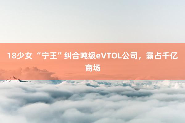 18少女 “宁王”纠合吨级eVTOL公司，霸占千亿商场
