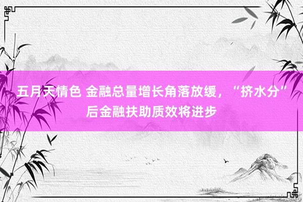 五月天情色 金融总量增长角落放缓，“挤水分”后金融扶助质效将进步