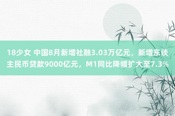 18少女 中国8月新增社融3.03万亿元，新增东谈主民币贷款9000亿元，M1同比降幅扩大至7.3%