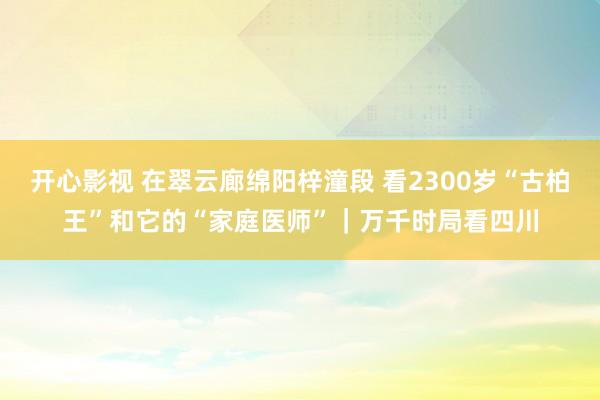 开心影视 在翠云廊绵阳梓潼段 看2300岁“古柏王”和它的“家庭医师”｜万千时局看四川