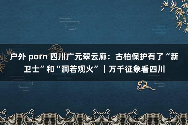户外 porn 四川广元翠云廊：古柏保护有了“新卫士”和“洞若观火”｜万千征象看四川