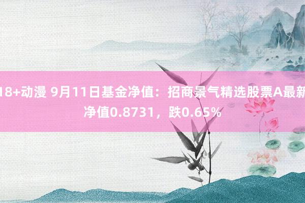 18+动漫 9月11日基金净值：招商景气精选股票A最新净值0.8731，跌0.65%