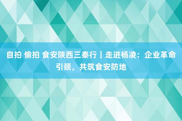 自拍 偷拍 食安陕西三秦行｜走进杨凌：企业革命引颈，共筑食安防地