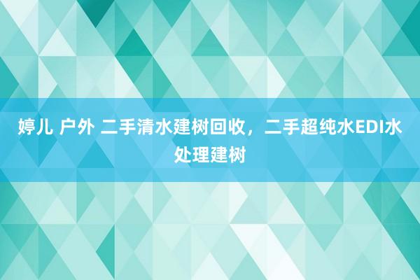 婷儿 户外 二手清水建树回收,二手超纯水EDI水处理建树