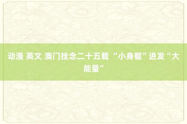 动漫 英文 澳门挂念二十五载 “小身躯”迸发“大能量”
