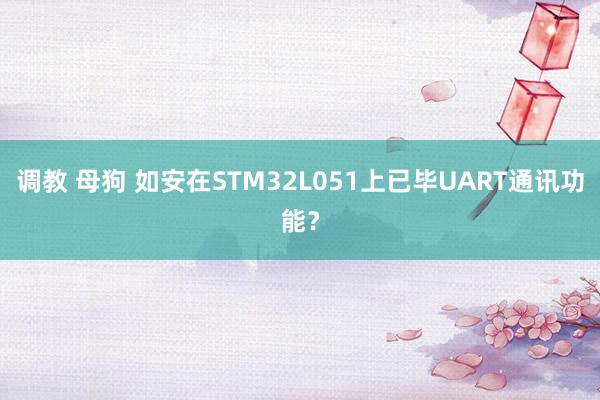 调教 母狗 如安在STM32L051上已毕UART通讯功能？