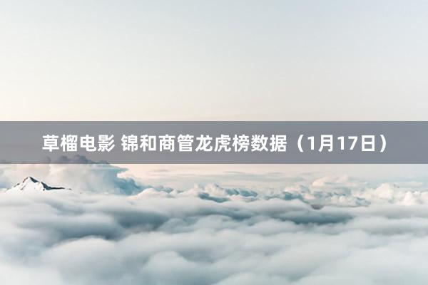 草榴电影 锦和商管龙虎榜数据（1月17日）