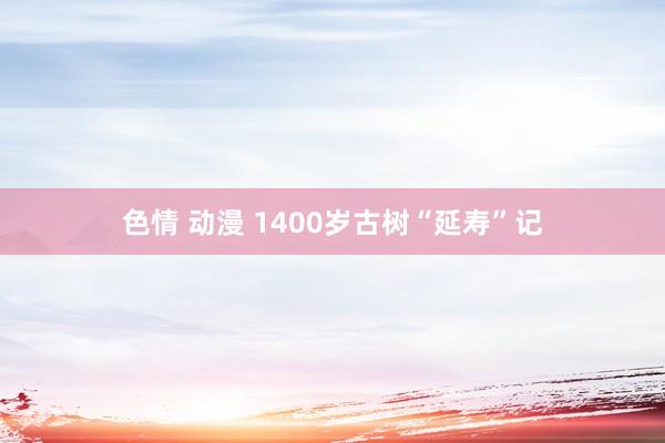 色情 动漫 1400岁古树“延寿”记
