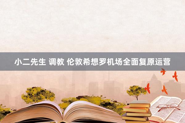 小二先生 调教 伦敦希想罗机场全面复原运营