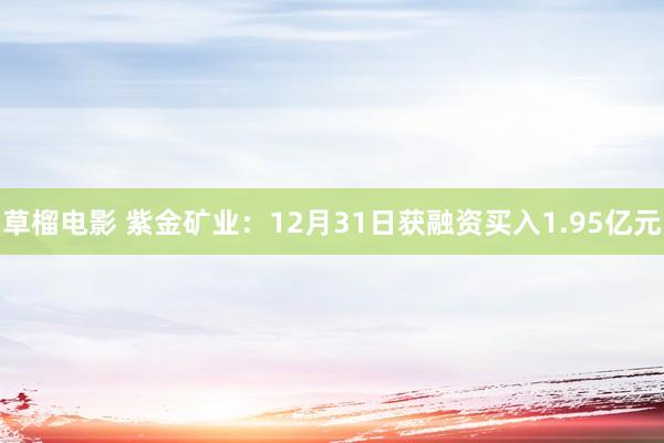 草榴电影 紫金矿业：12月31日获融资买入1.95亿元