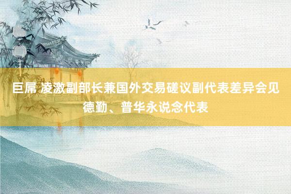 巨屌 凌激副部长兼国外交易磋议副代表差异会见德勤、普华永说念代表