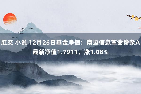 肛交 小说 12月26日基金净值：南边信息革命搀杂A最新净值1.7911，涨1.08%