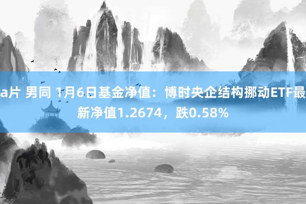 a片 男同 1月6日基金净值：博时央企结构挪动ETF最新净值1.2674，跌0.58%