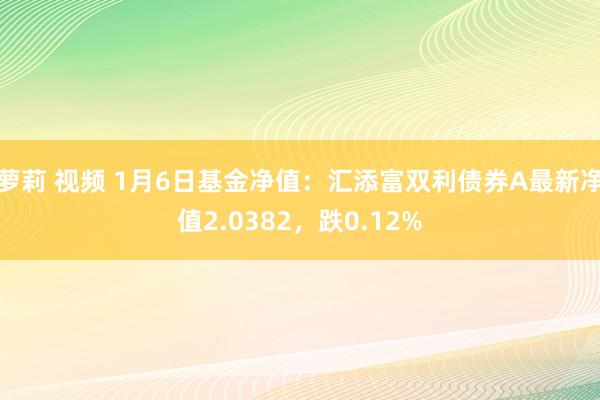 萝莉 视频 1月6日基金净值：汇添富双利债券A最新净值2.0382，跌0.12%