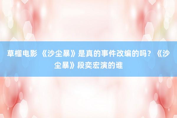 草榴电影 《沙尘暴》是真的事件改编的吗？《沙尘暴》段奕宏演的谁