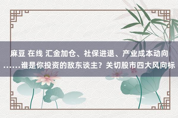 麻豆 在线 汇金加仓、社保进退、产业成本动向……谁是你投资的敌东谈主？关切股市四大风向标