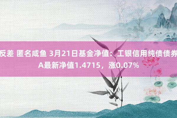 反差 匿名咸鱼 3月21日基金净值：工银信用纯债债券A最新净值1.4715，涨0.07%