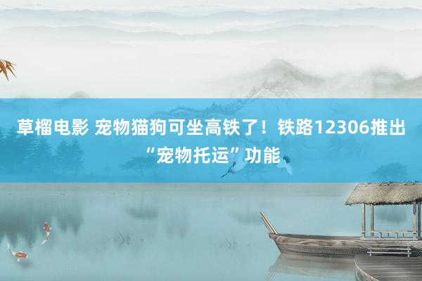 草榴电影 宠物猫狗可坐高铁了！铁路12306推出“宠物托运”功能