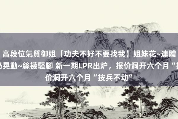 高段位氣質御姐【功夫不好不要找我】姐妹花~連體絲襪~大奶晃動~絲襪騷腳 新一期LPR出炉，报价洞开六个月“按兵不动”