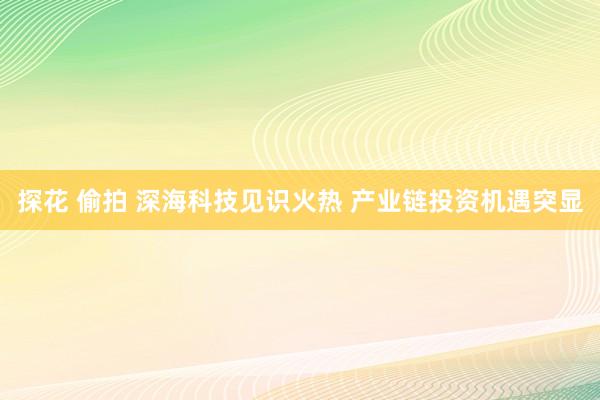 探花 偷拍 深海科技见识火热 产业链投资机遇突显