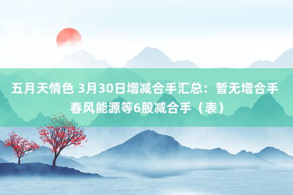 五月天情色 3月30日增减合手汇总：暂无增合手 春风能源等6股减合手（表）